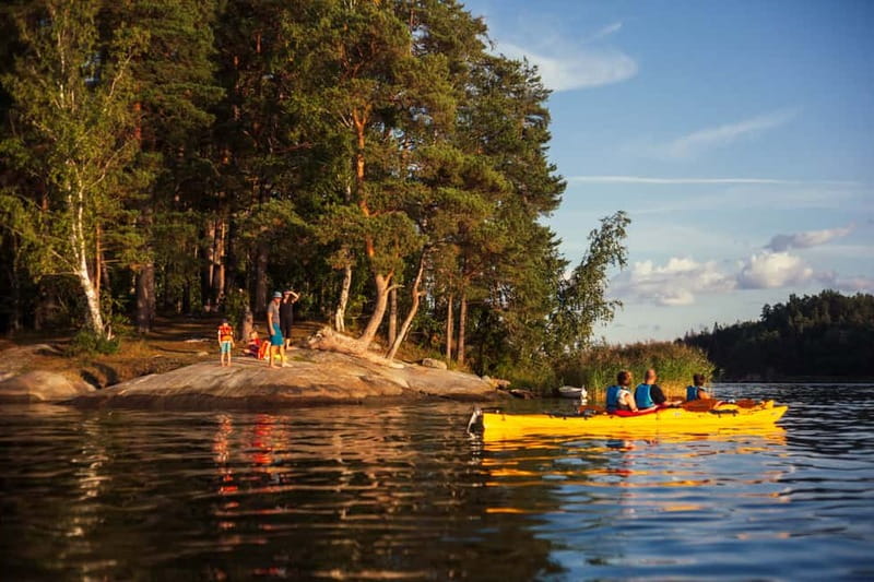 Stockholm: Sunset Archipelago Kayaking & Toast on the Water - Wildlife watching, from beaver dens to coastal birds