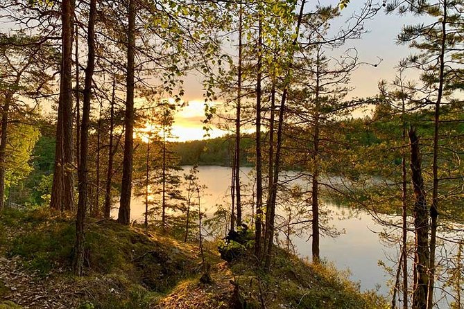 Stockholm: Sunset Hike in Tyresta National Park with Meal - Key points to know before booking