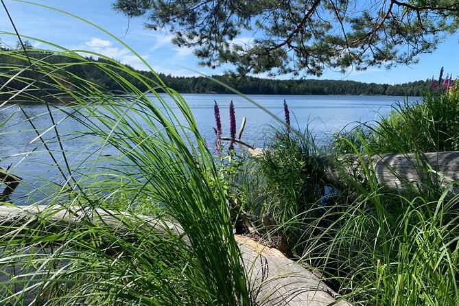 Stockholm: Sunset Hike in Tyresta National Park with Meal - Why this evening hike is different from a city tour