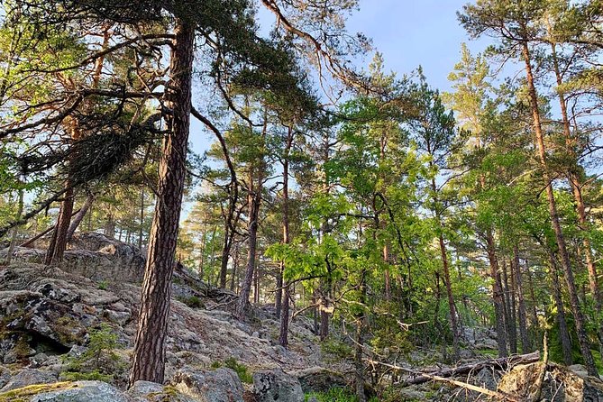 Stockholm: Sunset Hike in Tyresta National Park with Meal - Three hours of forest, rocks, and lakes