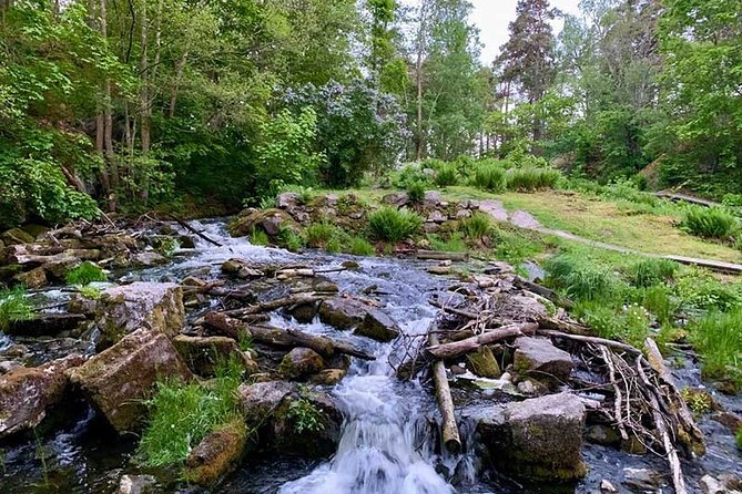 Stockholm: Sunset Hike in Tyresta National Park with Meal - Wildlife watching at the edge of darkness