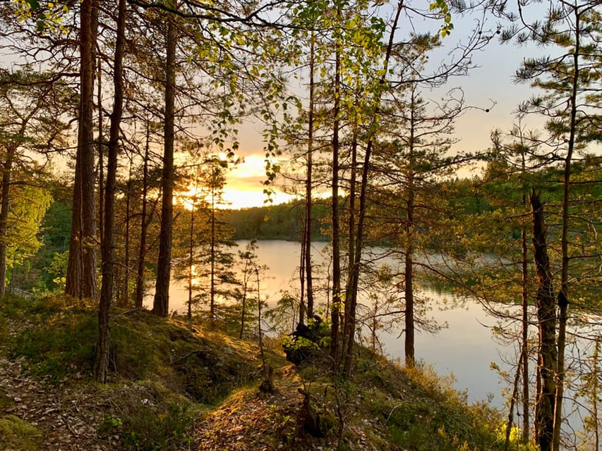 Stockholm: Sunset Hike in Tyresta National Park with Meal - What the price includes at $144
