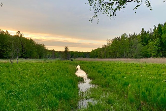Stockholm: Sunset Hike in Tyresta National Park with Meal - Meeting at Gullmarsplan and riding into the woods