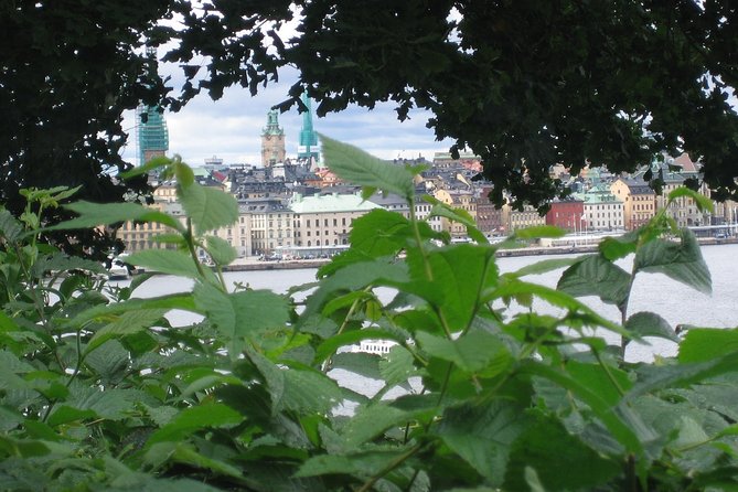 Stockholm Top attractions all-inclusive Gran Tour - Drottningholm Palace and the royal gardens
