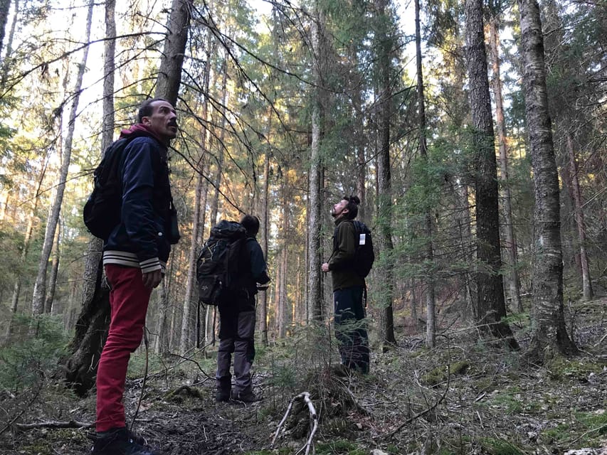 Stockholm: Wildlife Safari - The tracking walk and forest skills
