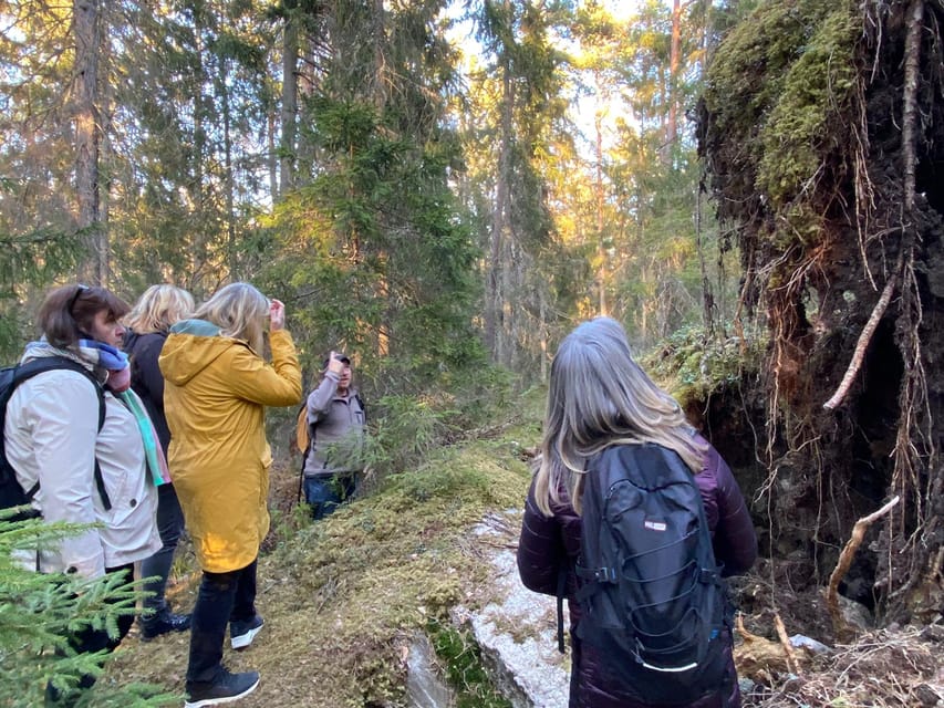 Stockholm: Wildlife Safari - Guides who add more than animal names