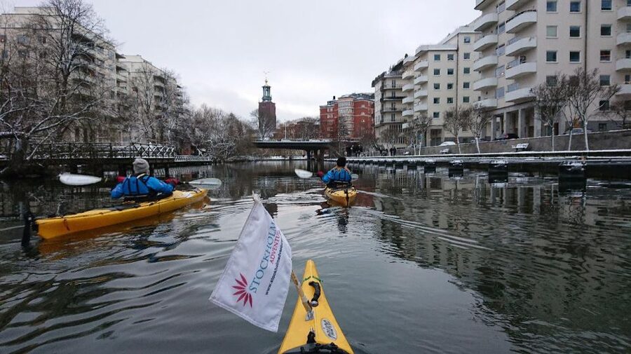 Stockholm: Winter City Kayaking Tour - Key points at a glance