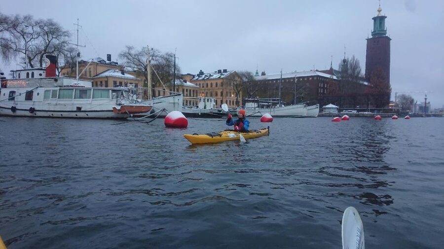 Stockholm: Winter City Kayaking Tour - What the guides add