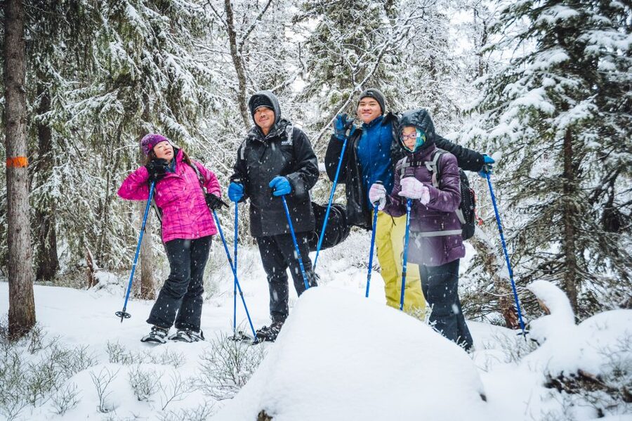 Stockholm: Winter Snowshoe Full-Day Hike - Key points to know before you book