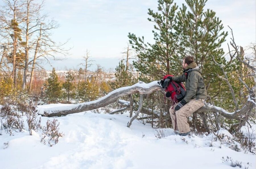 Stockholm: Winter Snowshoe Full-Day Hike - Booking, cancellation, and meeting details