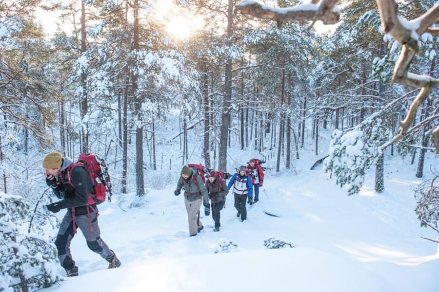 Stockholm: Winter Snowshoe Full-Day Hike - From central Stockholm to a quiet winter forest