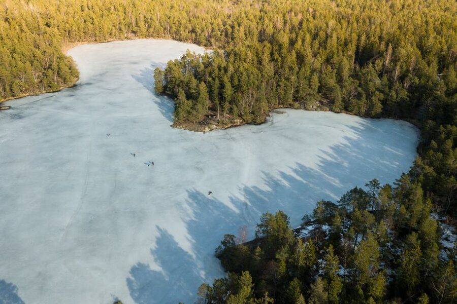 Stockholm: Winter Snowshoe Full-Day Hike - Snow-covered trees, deer tracks, and frozen lakes