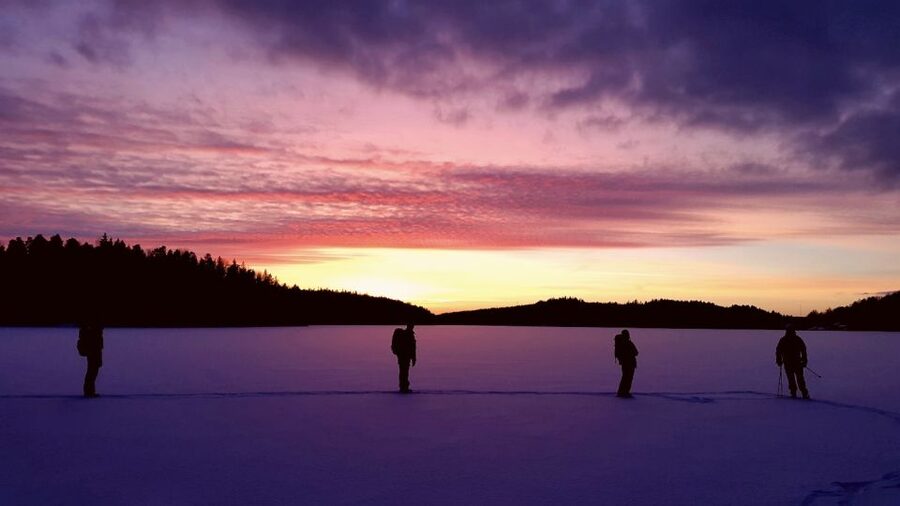 Stockholm: Winter Snowshoe Full-Day Hike - Swedish nature explained in plain terms