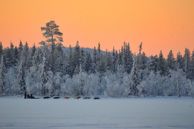Sunrise Zen Husky Tour (10:00 to 13:00 - sitting on the sled) - The morning begins with a small kennel and a big welcome