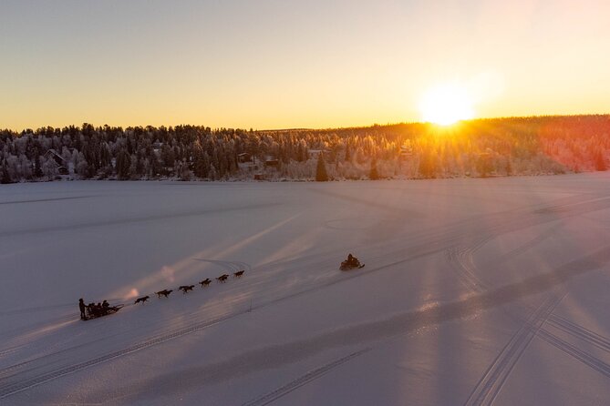 Sunrise Zen Husky Tour (10:00 to 13:00 - sitting on the sled) - A quiet ride through Poikkijärvi Woods