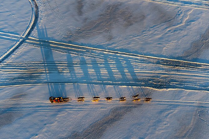 Sunrise Zen Husky Tour (10:00 to 13:00 - sitting on the sled) - Who will enjoy this Kiruna dog sled tour?