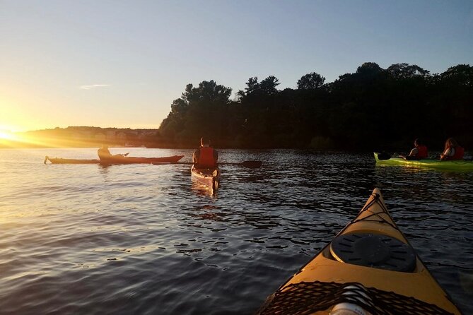 Sunset Kayak Tour in Central Stockholm and Swedish Fika - Sunset views from a lower seat