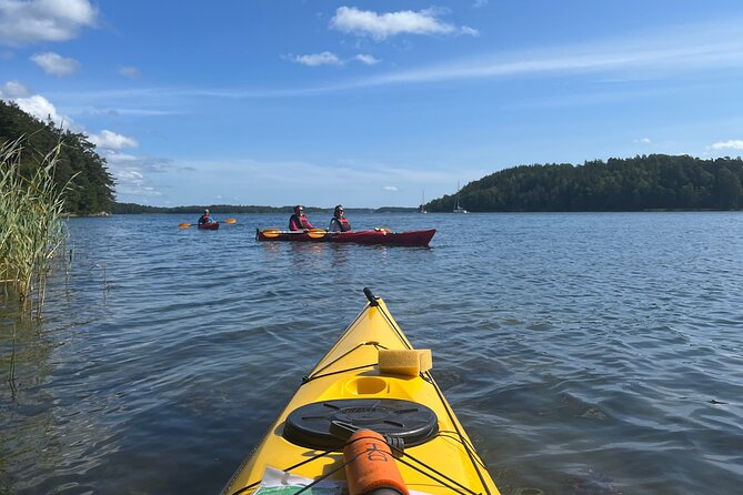 Sunset Kayak Tour in the Stockholm Archipelago + Swedish Fika - The island picnic and Swedish fika