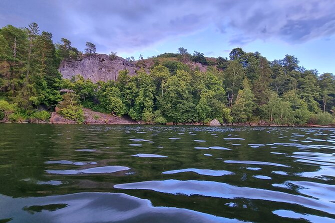 Sunset kayak tour with fika on Stockholms lakeside - A small group with room for wildlife