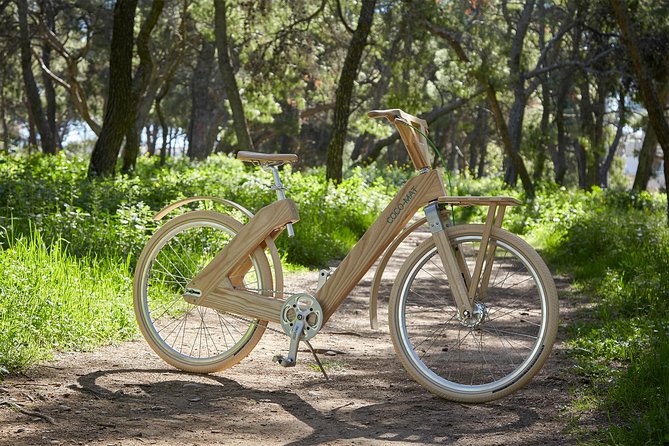 The Wooden Bicycle Tour in Stockholm - Two hours of city views and major sights