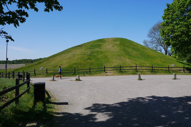 Viking History, Runes & Countryside 9h Tour to Sigtuna & Uppsala - Guides make or break this experience