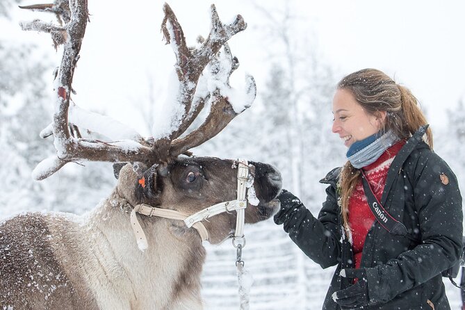 Visit the Sami and Reindeer in a Day Trip from Abisko - Nutti Sámi Siida and the story of Sami life