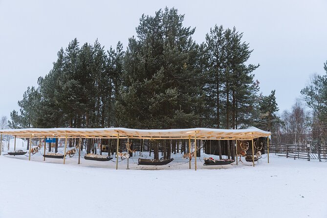 Visit the Sami and Reindeer in a Day Trip from Abisko - A warm break inside Café Sápmi