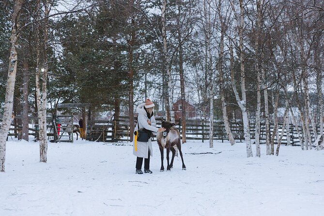 Visit the Sami and Reindeer in a Day Trip from Abisko - Booking timing, cancellation, and daily planning