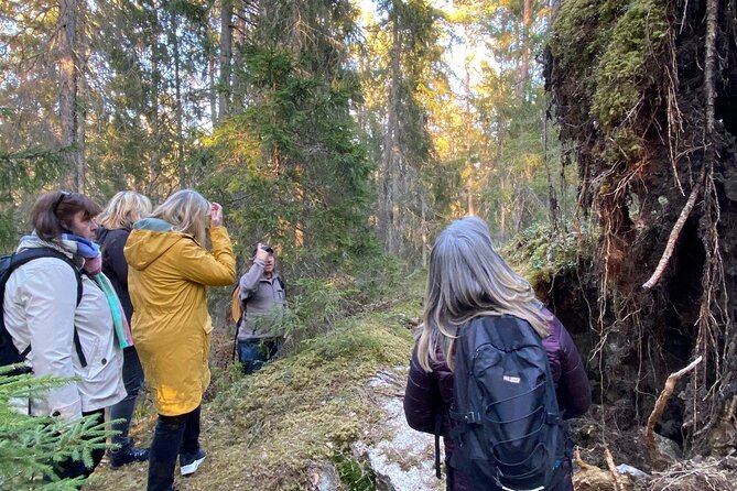 Wolf and Wildlife Tracking in Sweden - Reading wolf signs on Sormlandsleden